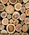 Wood Stump Wallpaper