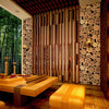 Wood Stump Wallpaper
