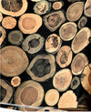 Wood Stump Wallpaper