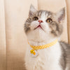 Cat Collar With Bell and Pendant