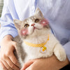 Cat Collar With Bell and Pendant